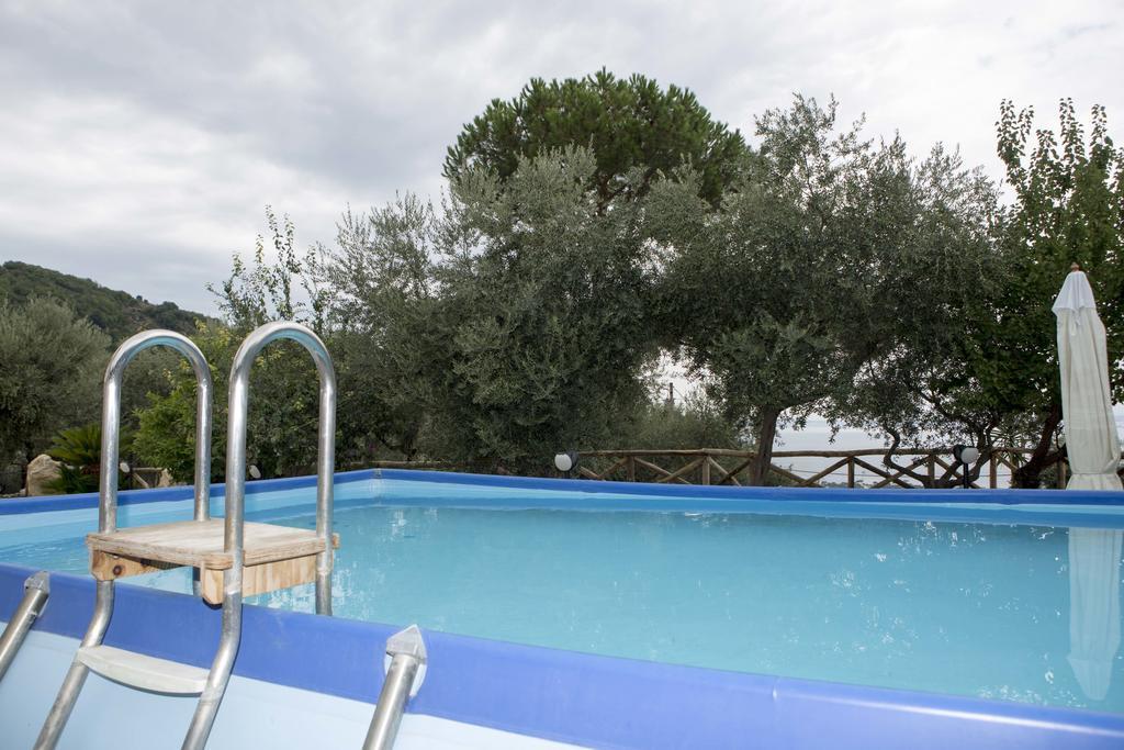 Appartamento Degli Ulivi 2 圣安吉洛 外观 照片